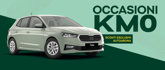 Promo KM0 Skoda